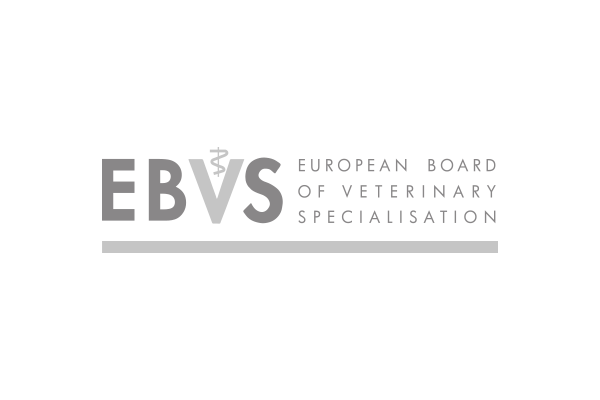 EBVSGrey